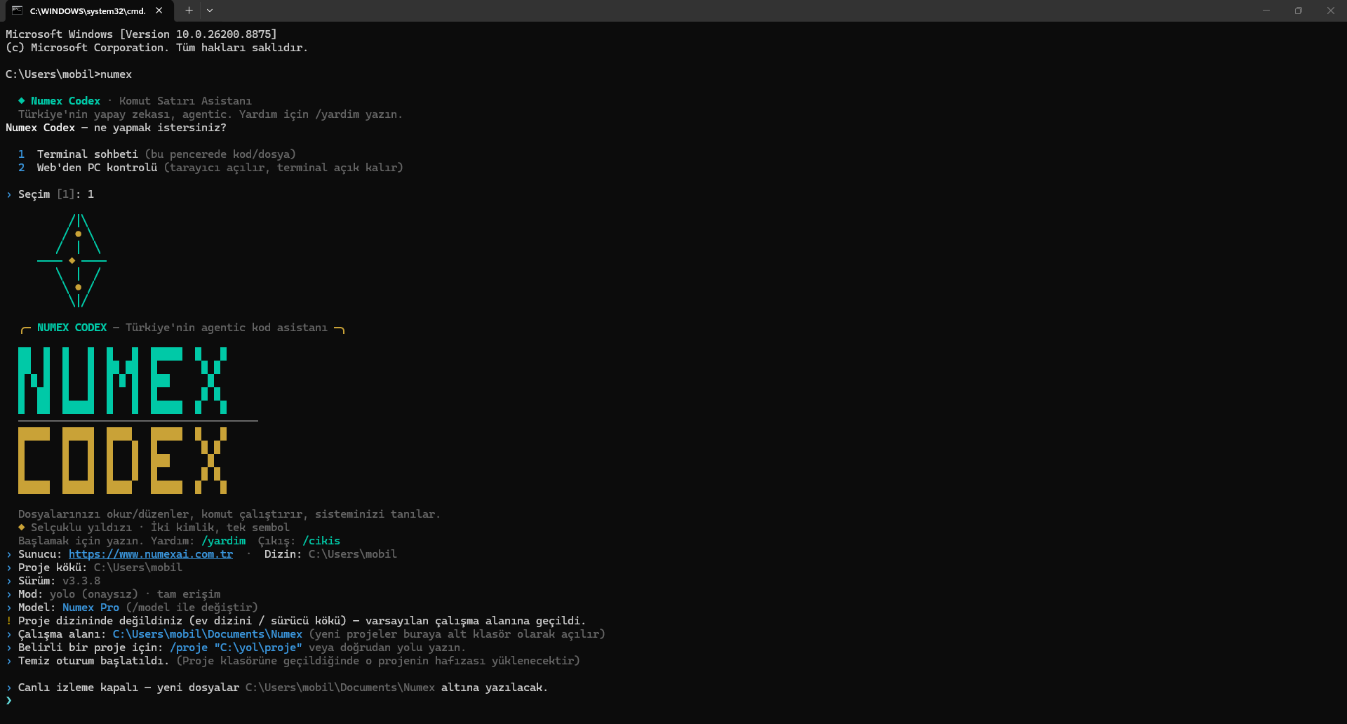 Numex Codex CLI açılış ekranı, sürüm ve model bilgisi