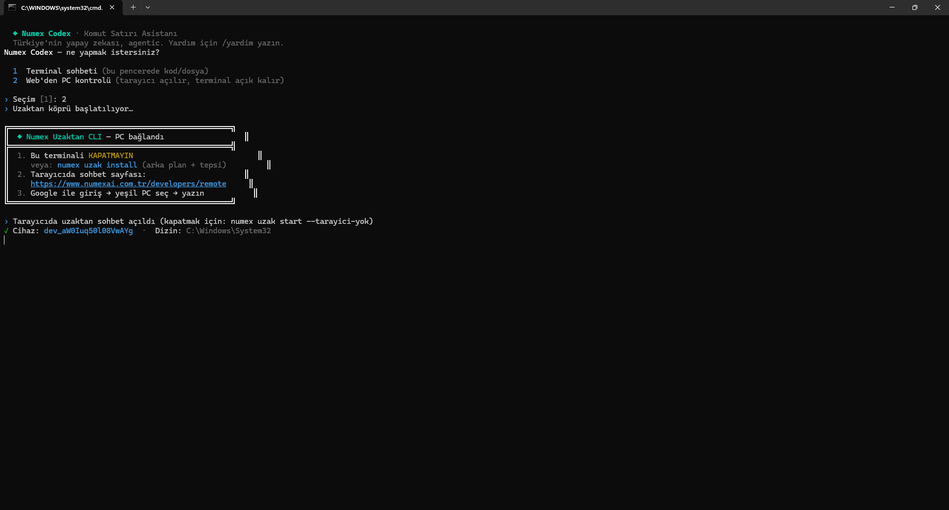 Numex Uzaktan CLI PC'ye bağlandı ekranı